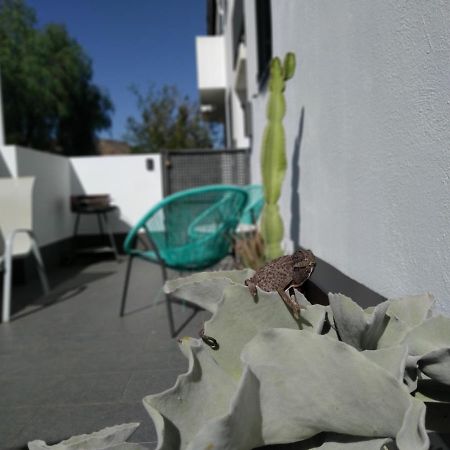 PiedraNegra, apartamento completo con patio, terraza y BBQ Rodalquilar Esterno foto